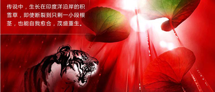 欧莱雅复颜抗皱紧致滋润日霜 50ml/瓶 6946537057541