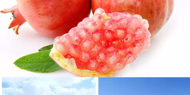 蒙自石榴
