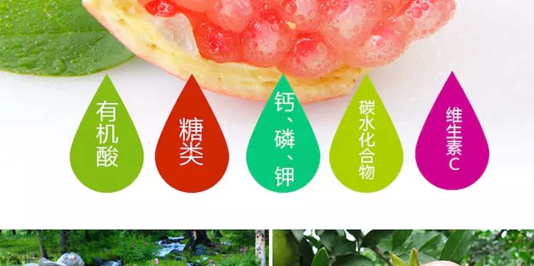 蒙自石榴