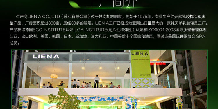 越南LIEN'A 传统椭圆乳胶枕