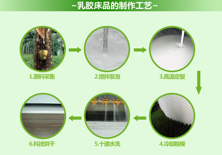 越南LIEN'A 卡通乳胶枕Tiger（老虎）