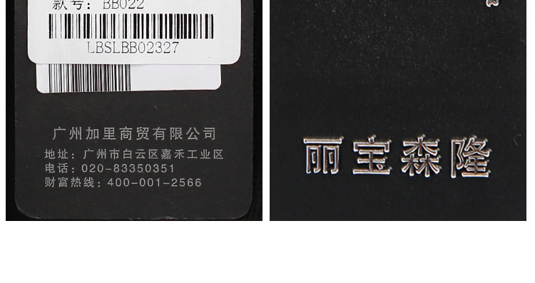 丽宝森隆女式时尚尼龙布双肩包BB022