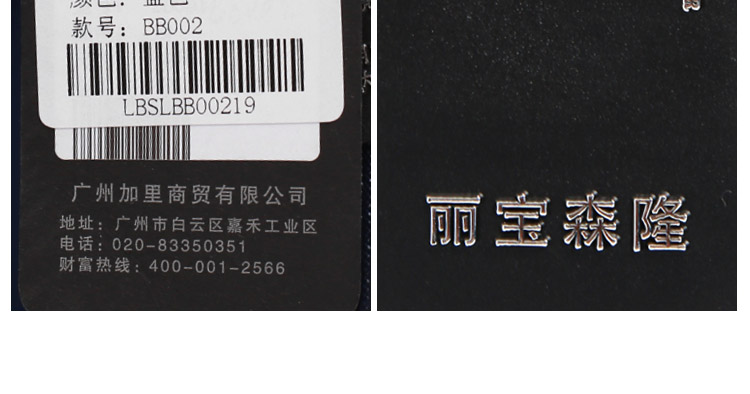 丽宝森隆女式时尚尼龙布双肩包BB002