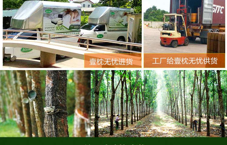 泰国 VENTRY卡通乳胶枕（猫咪）VENTRY002