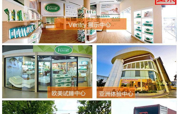 泰国 VENTRY卡通乳胶枕（猫咪）VENTRY002